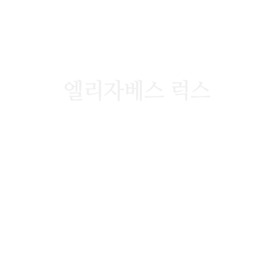 웨딩드레스 브랜드별 이미지