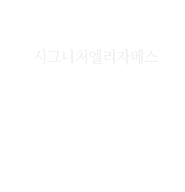 웨딩드레스 브랜드별 이미지